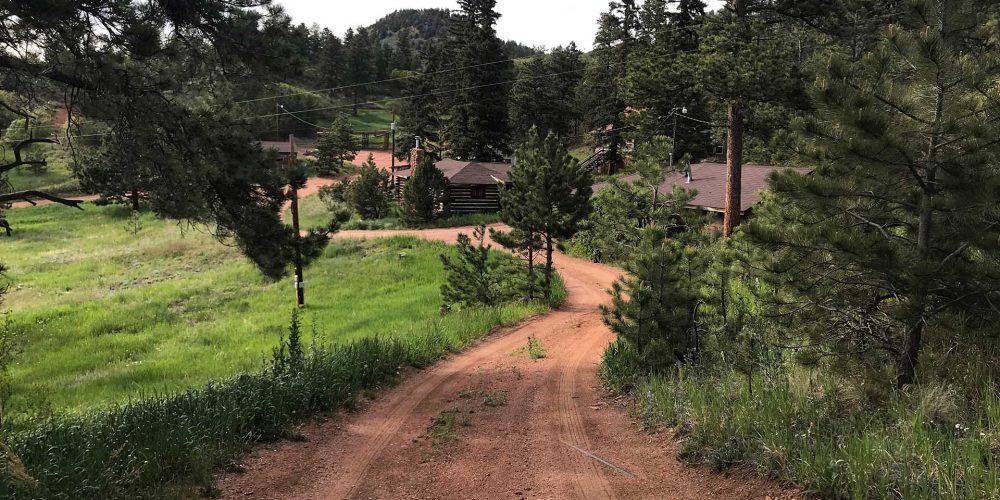 Road leading to cabin